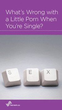 bokomslag What's Wrong with a Little Porn When You're Single?