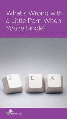 bokomslag What's Wrong with a Little Porn When You're Single?