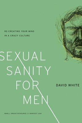 bokomslag Sexual Sanity for Men
