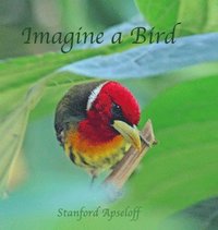 bokomslag Imagine a Bird