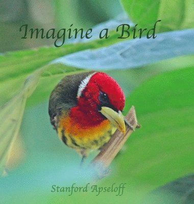 bokomslag Imagine a Bird