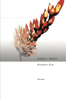Brandon Som - Babel's Moon, Häftad