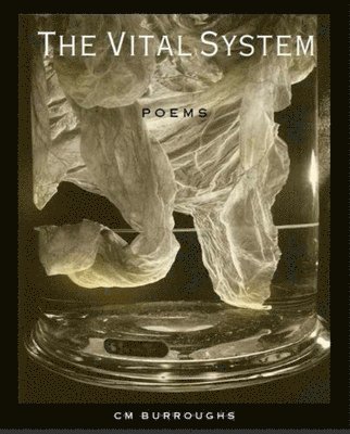 The VITAL SYSTEM 1