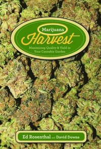 bokomslag Marijuana Harvest