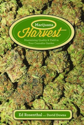 Marijuana Harvest 1