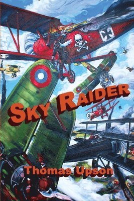 Sky Raider 1