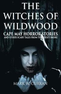 bokomslag Witches of Wildwood