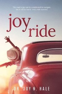 bokomslag Joy Ride