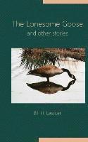 bokomslag Lonesome Goose and Other Stories