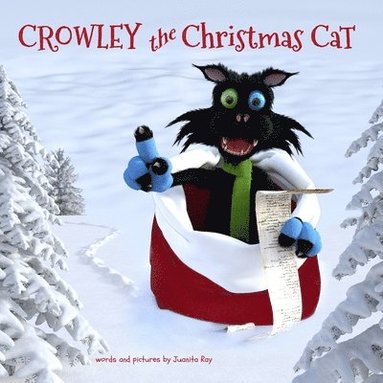 bokomslag Crowley the Christmas Cat