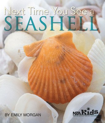 Emily Morgan - Next Time You See a Seashell, Häftad