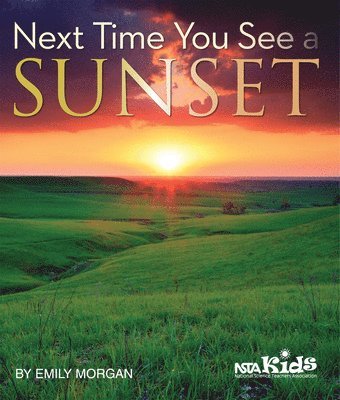Emily Morgan - Next Time You See a Sunset, Häftad