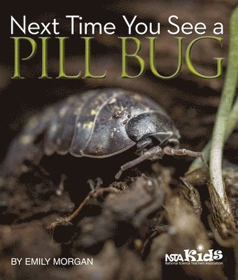 Next Time You See a Pill Bug 1