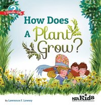 bokomslag How Does a Plant Grow?