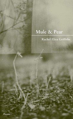 Rachel Eliza Griffiths - Mule & Pear, Häftad