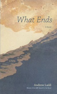 bokomslag What Ends