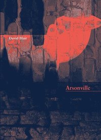bokomslag Arsonville