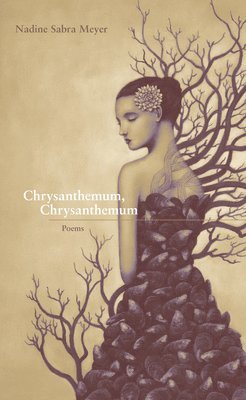 Chrysanthemum, Chrysanthemum 1