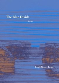 bokomslag The Blue Divide  Poems