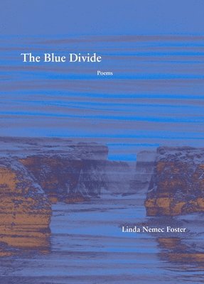 bokomslag Blue Divide - Poems