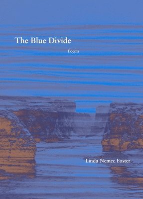 The Blue Divide  Poems 1