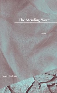 bokomslag The Mending Worm