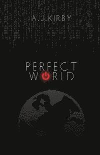 bokomslag Perfect World