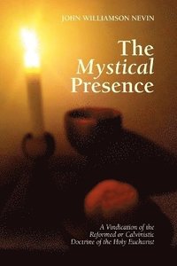 bokomslag Mystical Presence