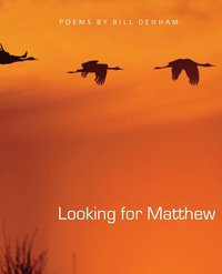 bokomslag Looking for Matthew