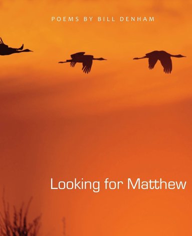 bokomslag Looking for Matthew