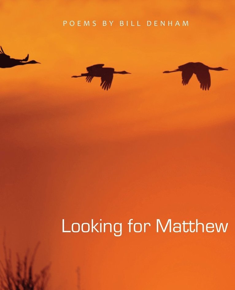 Looking for Matthew 1