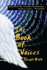 bokomslag The Book of Voices-Expanded Edition