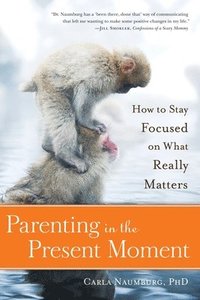bokomslag Parenting in the Present Moment