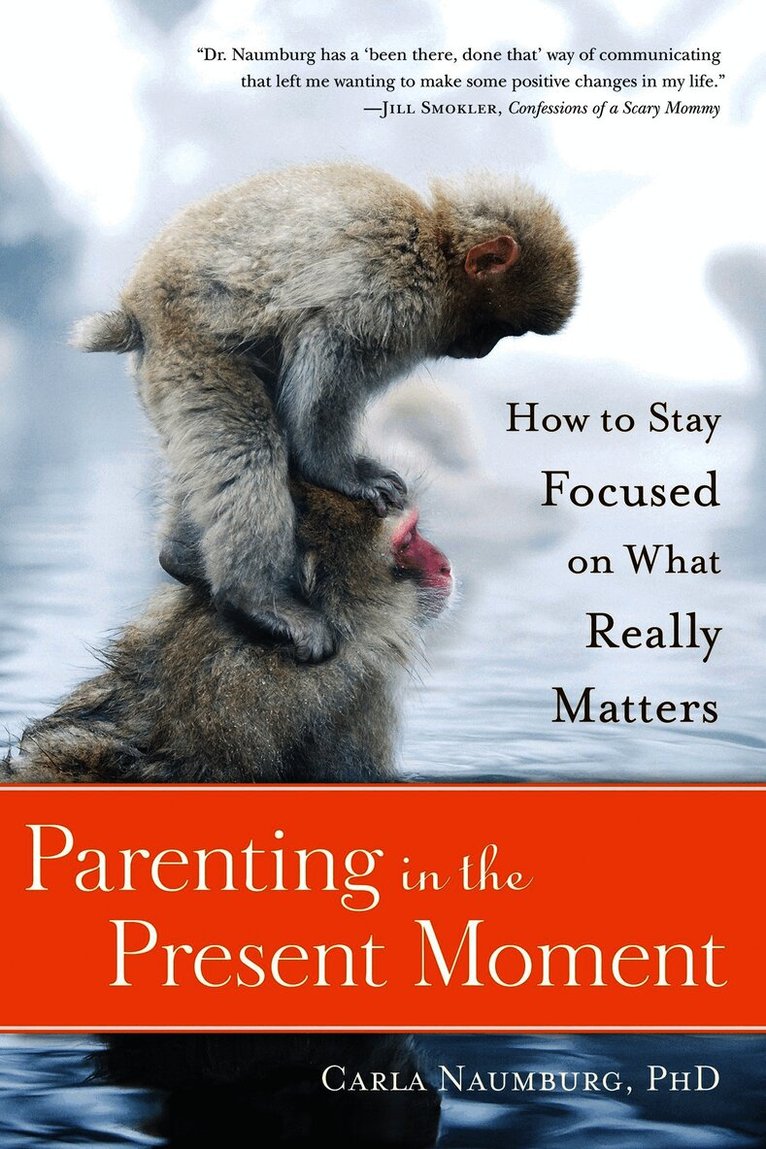 Parenting in the Present Moment