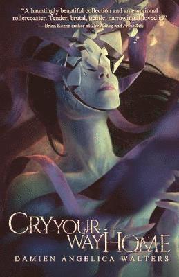 Damien Angelica Walters - Cry Your Way Home, Häftad