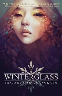 bokomslag Winterglass