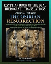 bokomslag Egyptian Book of the Dead Hieroglyph Translations Volume 6 Featuring The Osirian Resurrection