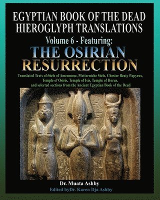 Egyptian Book of the Dead Hieroglyph Translations Volume 6 Featuring The Osirian Resurrection