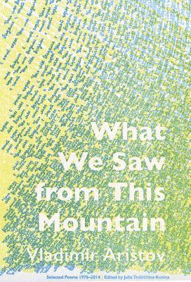 Vladimir Aristov - What We Saw From This Mountain, Häftad