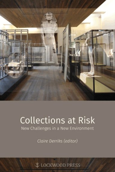 Claire Derricks - Collections at Risk, Häftad