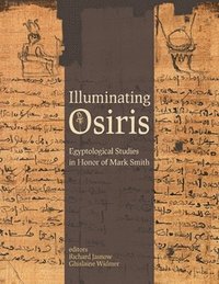 bokomslag Illuminating Osiris