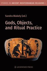 bokomslag Gods, Objects, and Ritual Practice in Ancient Mediterranean Religion
