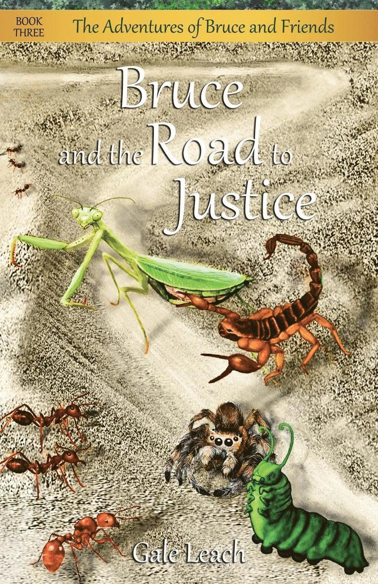 Bruce and the Road to Justice 1