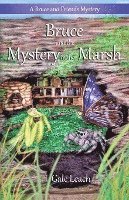 bokomslag Bruce and the Mystery in the Marsh