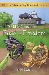 bokomslag Bruce and the Road to Freedom