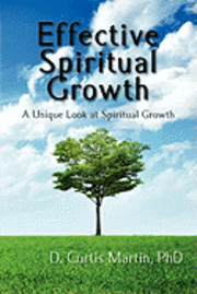 bokomslag Effective Spiritual Growth