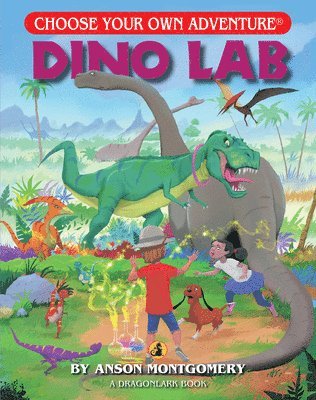 bokomslag Dino Lab