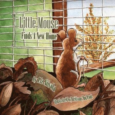 Liz Siivola - Little Mouse Finds a New Home, Häftad