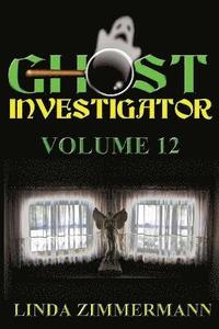 bokomslag Ghost Investigator Volume 12