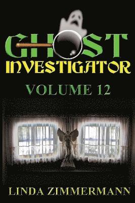 bokomslag Ghost Investigator Volume 12